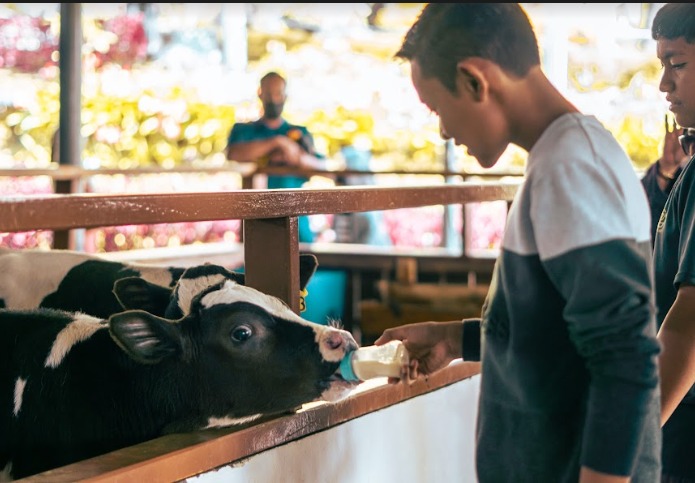 WhatsApp Image 2022-10-06 at 10.38.20 AM (1)