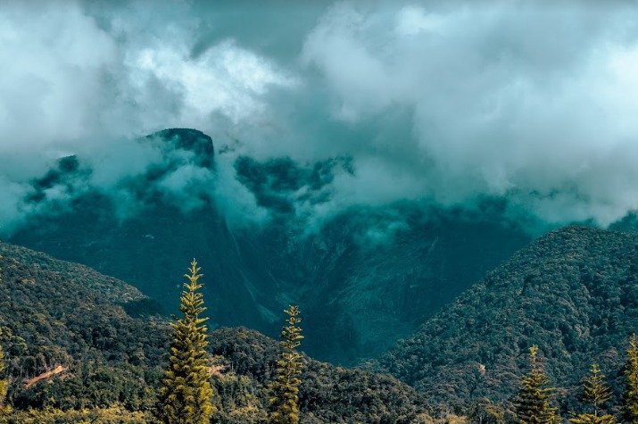 WhatsApp Image 2022-10-06 at 10.44.50 AM