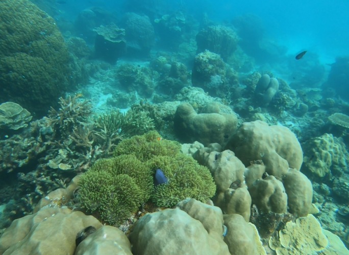 WhatsApp Image 2022-10-06 at 11.15.22 AM