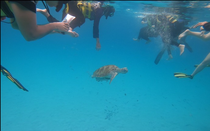 WhatsApp Image 2022-10-06 at 11.15.37 AM