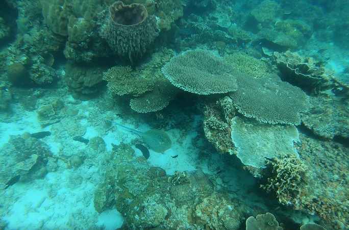 WhatsApp Image 2022-10-06 at 11.15.57 AM