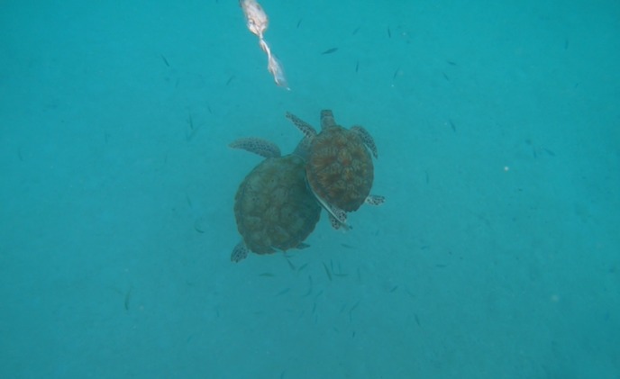 WhatsApp Image 2022-10-06 at 11.16.14 AM